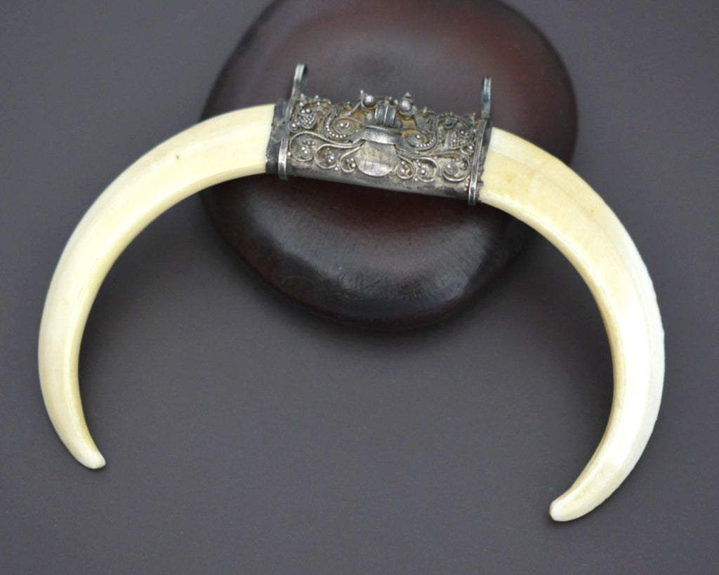 Bali Barong Boar Tusk Pendant