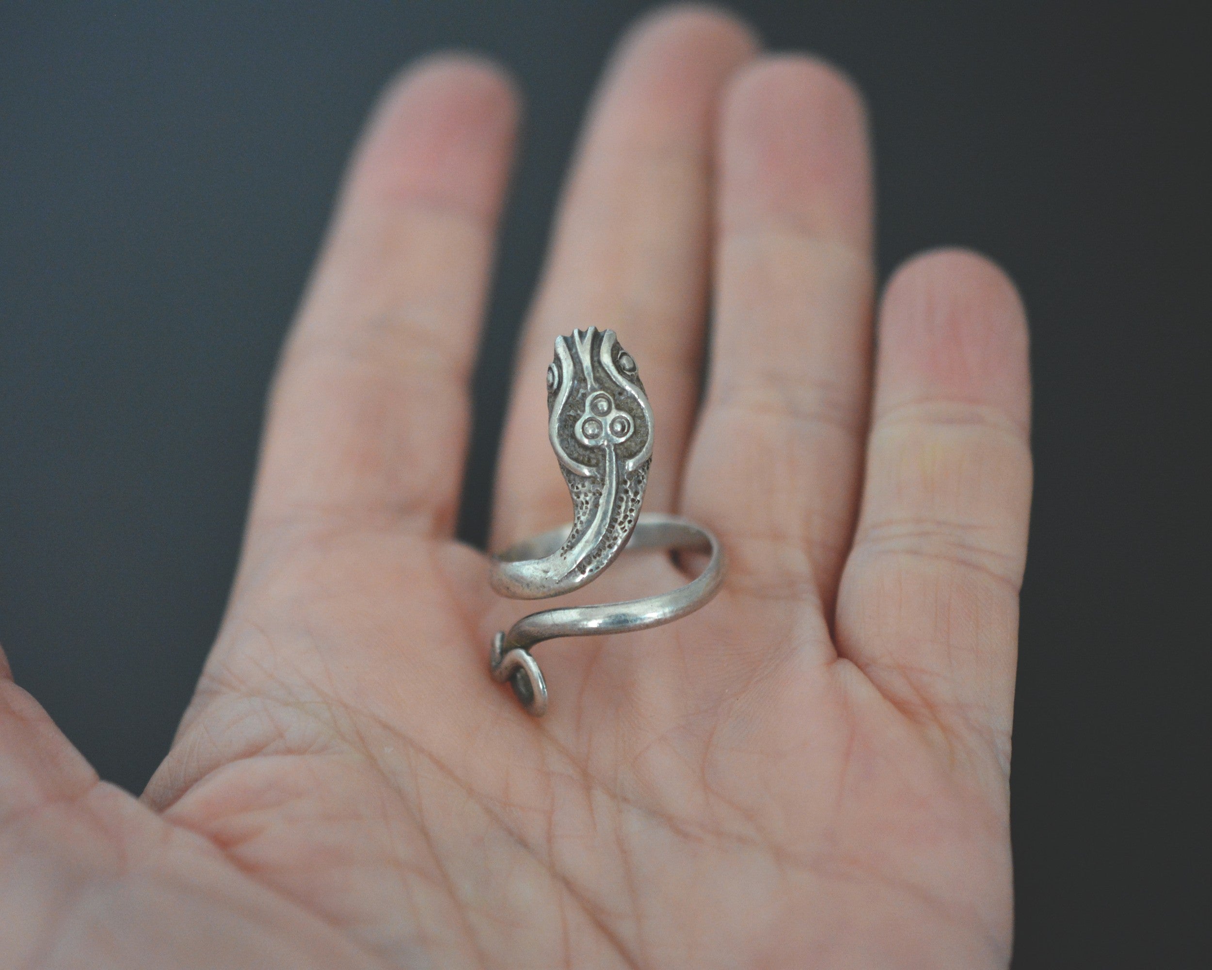 Mexican Snake Ring - Size 8 (Adjustable)
