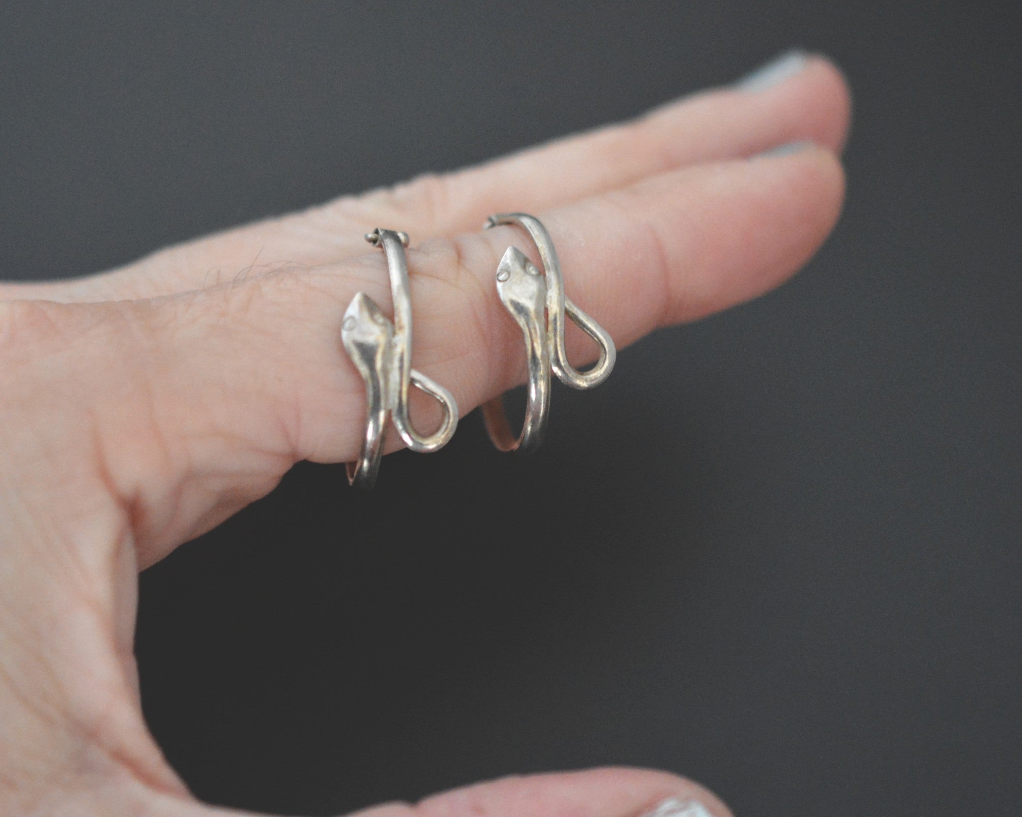 Silver Snake Hoop Earrings - SMALL/MEDIUM