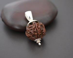 Rudraksha Bead Pendant with Silver Cap