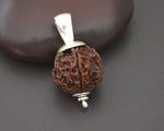 Rudraksha Bead Pendant with Silver Cap