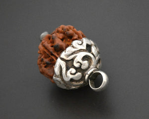 Rudraksha Bead Pendant with Silver Cap