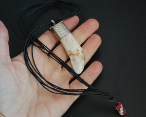 Large Tuareg Tooth Pendant on Cord