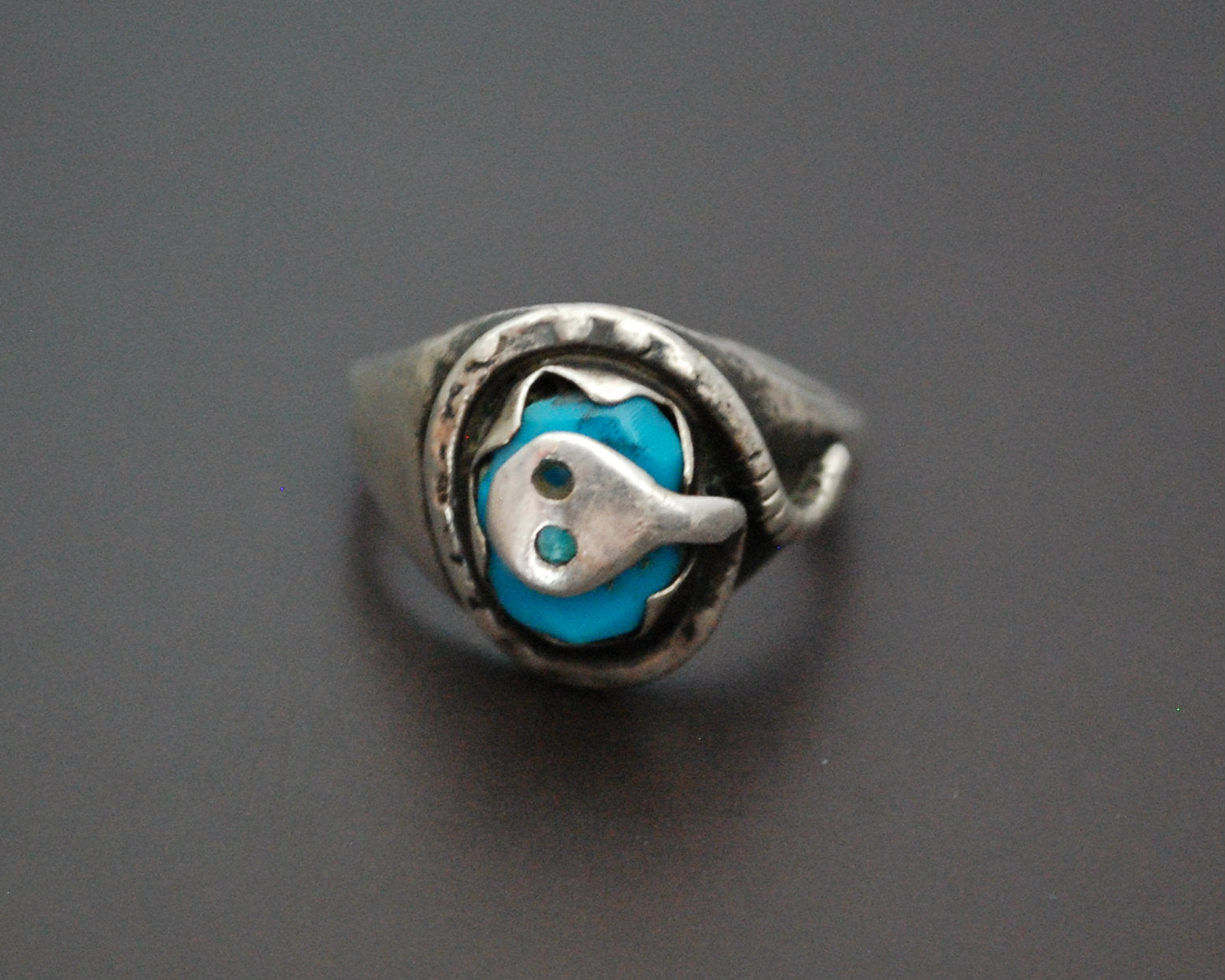 Zuni Effie Calavaza Turquoise Snake Ring - Size 7