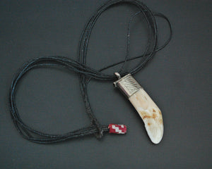 Large Tuareg Tooth Pendant on Cord