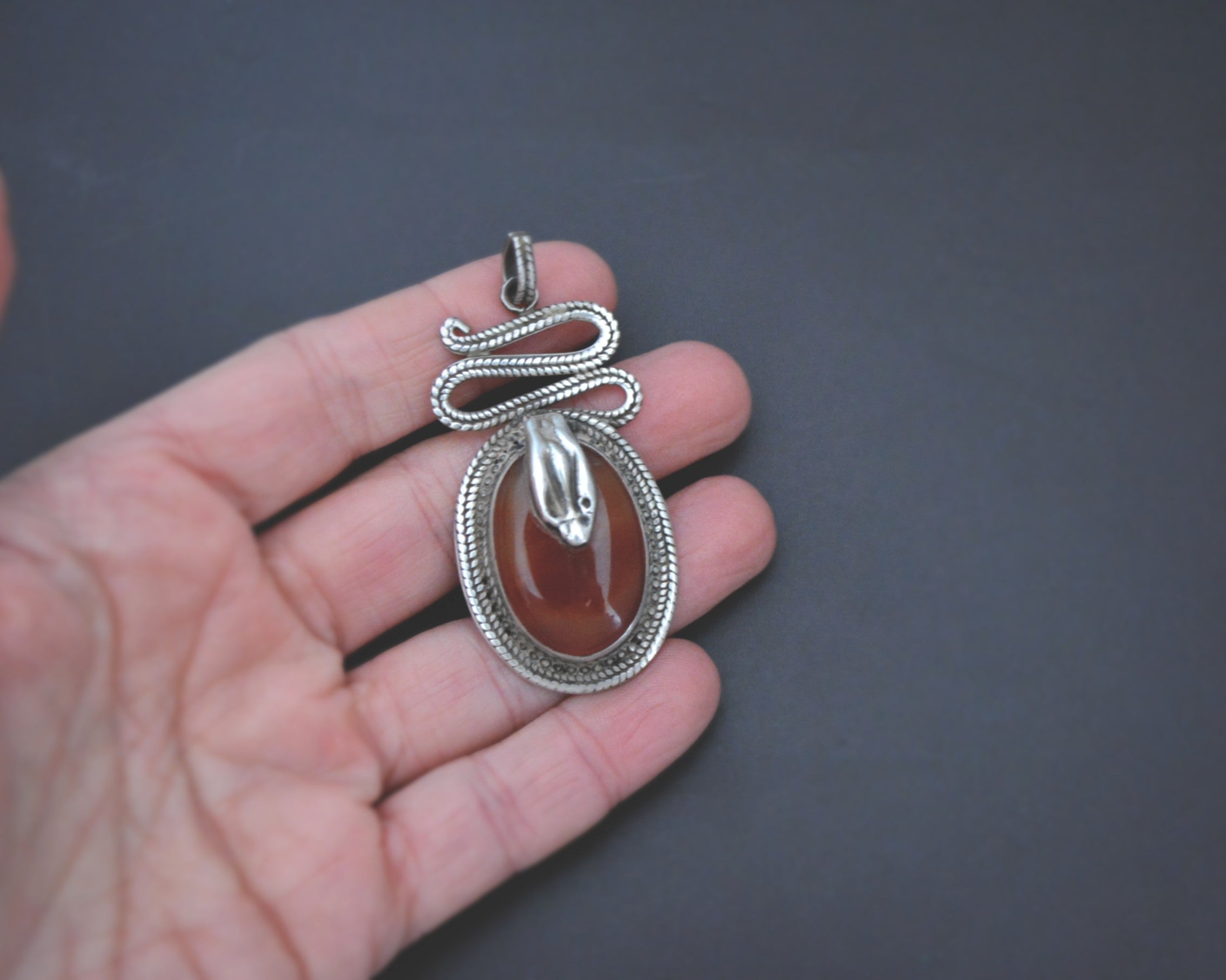 Carnelian and Sterling Silver Snake Pendant