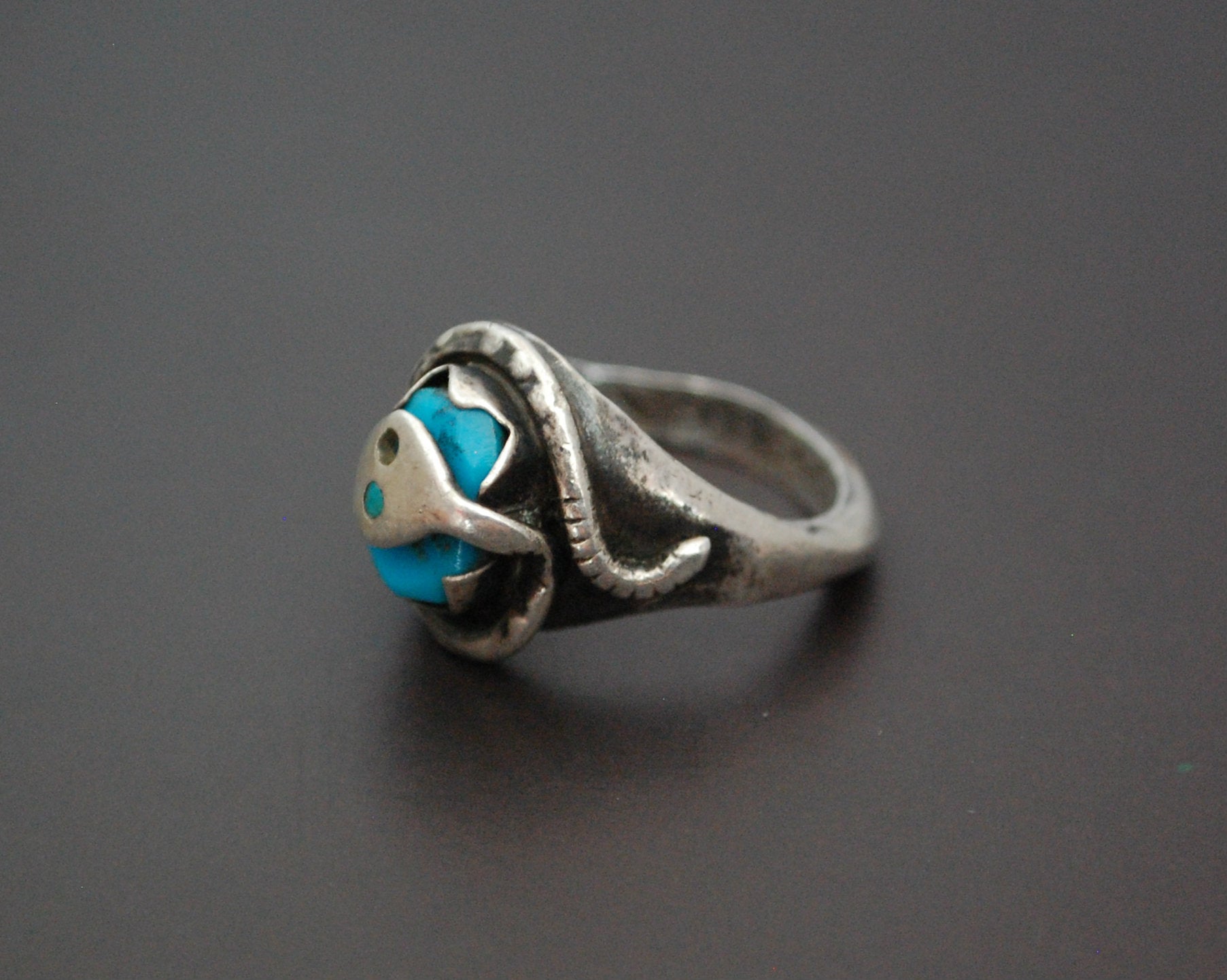Zuni Effie Calavaza Turquoise Snake Ring - Size 7