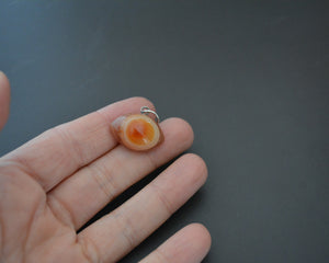 Shiva Eye Agate Pendant - Agate Eye