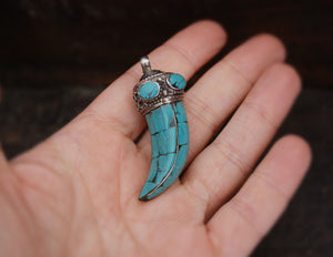 Nepalese Turquoise Tooth Pendant with Silver Cap