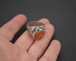 Old Berber Coral Ring - Size 9