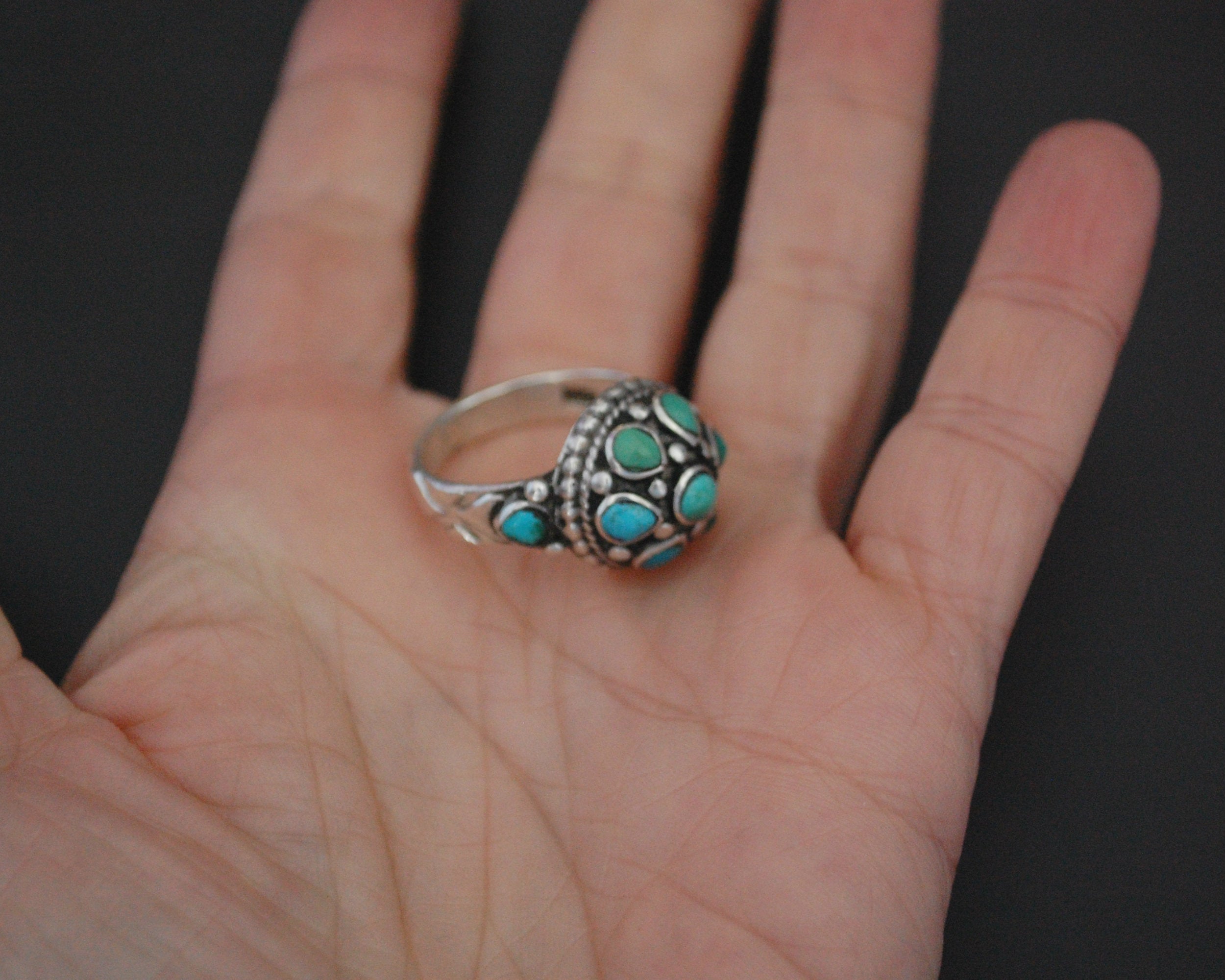 Ladakh Turquoise Ring - Size 8.5