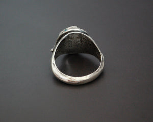 Zuni Effie Calavaza Turquoise Snake Ring - Size 7