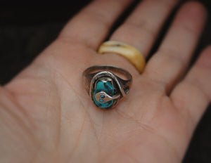 Zuni Effie Calavaza Turquoise Snake Ring - Size 6.75