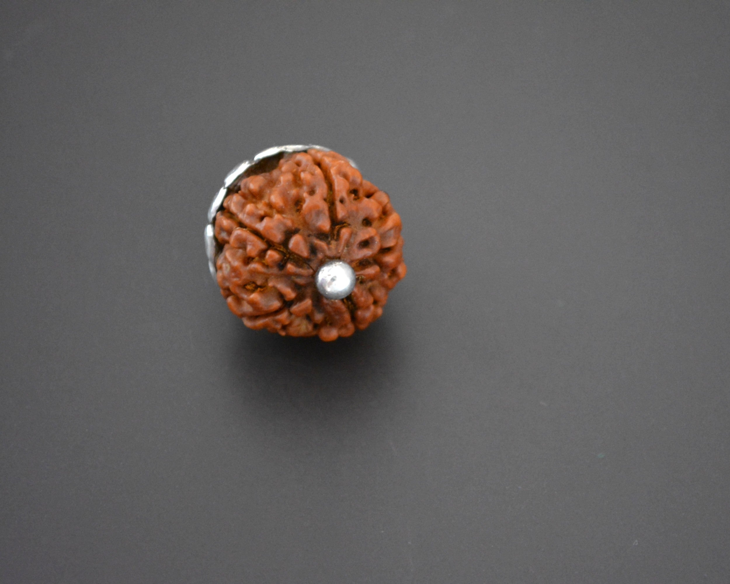 Rudraksha Bead Pendant with Silver Cap