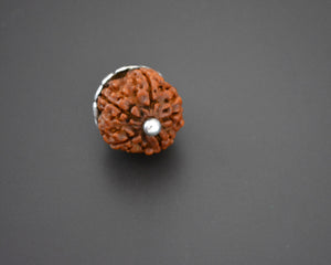 Rudraksha Bead Pendant with Silver Cap