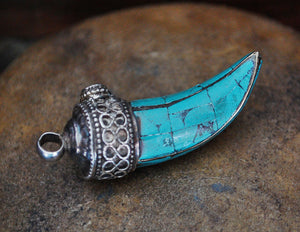 Nepalese Turquoise Tooth Pendant with Silver Cap