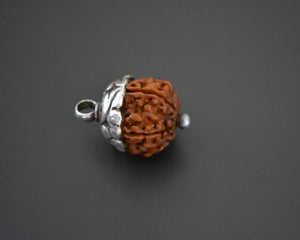 Rudraksha Bead Pendant with Silver Cap
