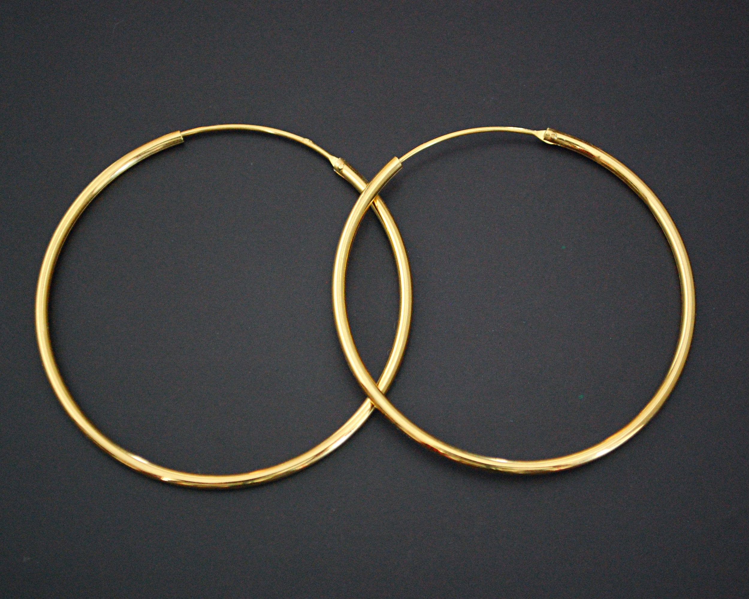 Large Gilded Hoop Earrings