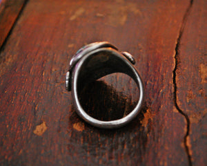 Zuni Effie Calavaza Turquoise Snake Ring - Size 11.75