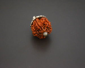 Rudraksha Bead Pendant with Silver Cap